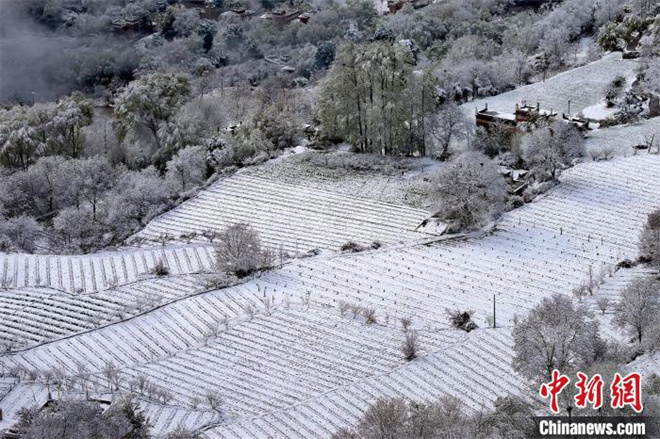 四川丹巴：春雪后的“美人谷”如仙境6.jpg