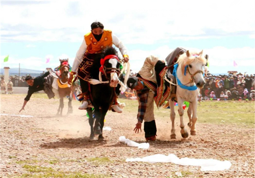 西藏安多县第七届格拉丹东——长江源赛马艺术节开幕2.jpg
