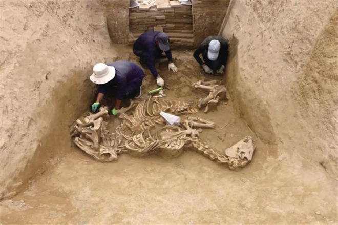 武威唐代吐谷浑王族墓葬群：多项新发现占据国内考古之最2.jpg