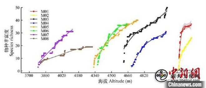 中国团队最新研究：青藏高原植物多样性被严重低估1.jpg