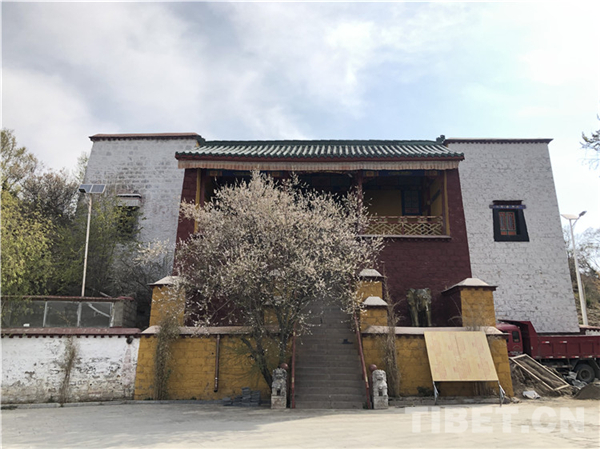 桃花掩映拉萨武圣居3.jpg