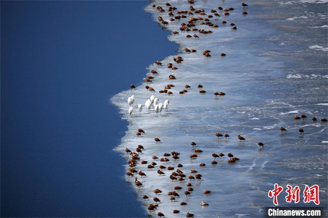 青海2名摄影师成功闯入国际顶级摄影赛事3.jpg