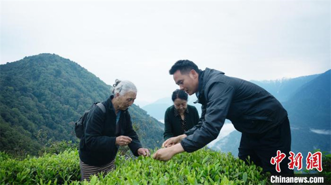 西藏银发旅游分享会：激活旅游市场 更注重康养等多元需求3.jpg