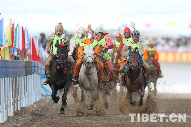 西藏那曲2023年恰青赛马节将于8月10日至12日举行3.jpg