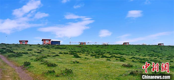 青海进入旅游“黄金季” 民众“打卡”草原拍“壁纸”4.jpg