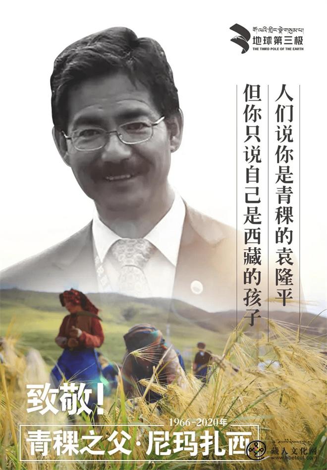 “青稞之父”尼玛扎西每一粒青稞都凝结着他的心血13.jpg