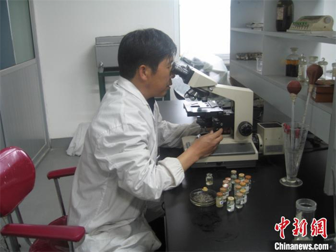 青海探索牦牛寄生虫病低残留防治 保障绿色畜产品输出4.jpg