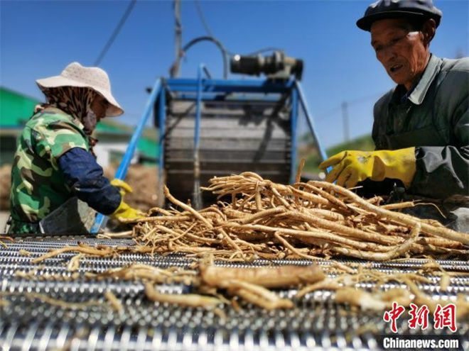 青海首部藏医医疗机构中（藏）药临床应用技术指南发布.jpg