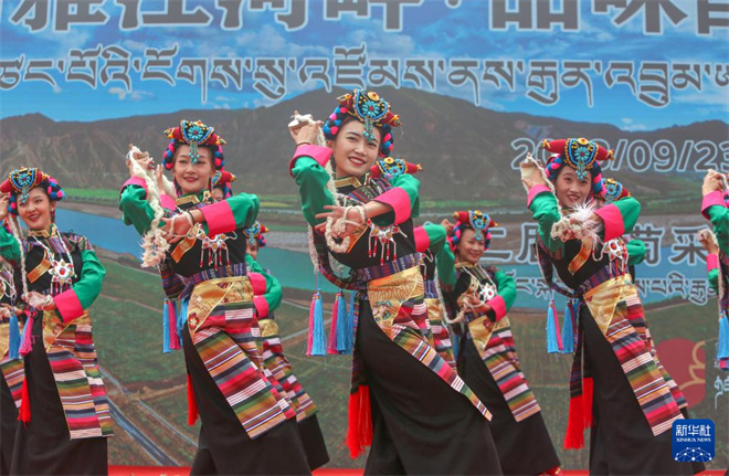 西藏桑日启动第二届葡萄采摘月活动2.jpg
