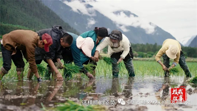 六集纪录片《援藏故事》在中央电视总台播出9.jpg