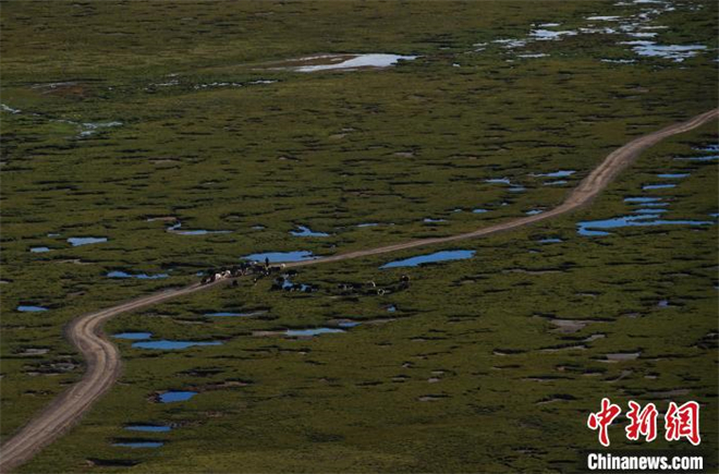2022澜湄国际影像周嘉宾来到查旦湿地采风打卡10.jpg