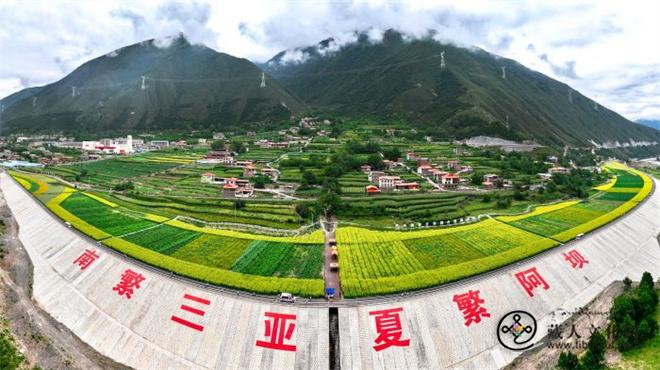 阿坝：打造全国夏繁种业高地 培育优势特色产业集群.jpg