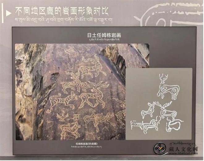 2025年阿里地区岩画保护利用对话会举行1.jpg
