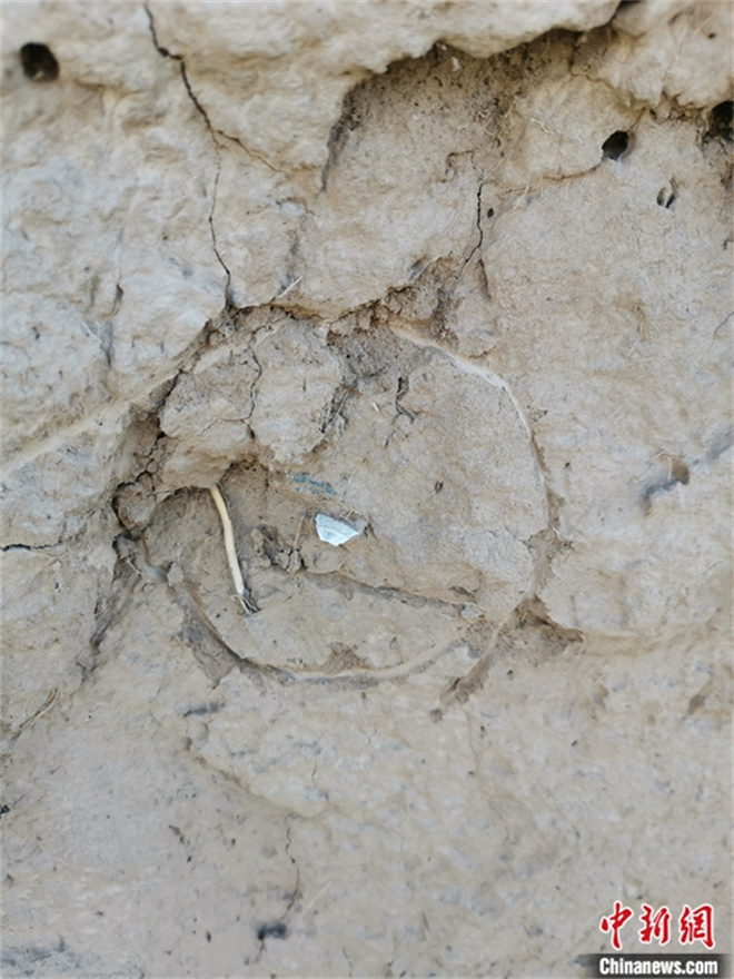 祁连山国家公园内发现6000年前细石器遗存3.jpg