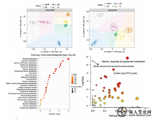1761199571855250.jpg 含矿物藏药安全性研究成果在国际期刊发表2.jpg