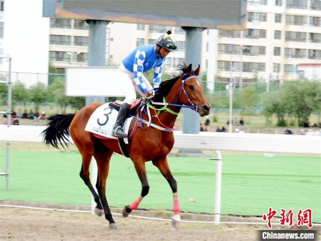 青海湖北岸上演“马背追风” 赛马交流一骑绝尘2.jpg